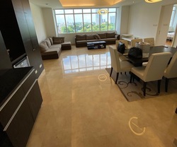 Orchard Scotts (D9), Condominium #502260101